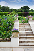 Stone steps in a well-tended garden with flower pots and hedges