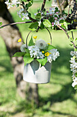 Bouquet of white lilac blossoms (Syringa), ranunculus and dandelion hanging from a tree in a hanging basket