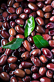 Black olives with bay leaves