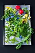Radishes, wild herbs and edible flowers