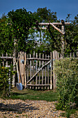 Wooden garden gate with climbing plants and garden tools on fence