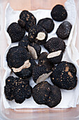 Perigord truffle (black truffle)