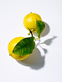 Zwei Zitronen mit Blättern