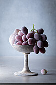 Iced grapes with grape juice espuma