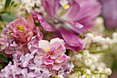 Blumenstrauß aus Tulpen (Tulipa), Maiglöckchen (Convallaria), Flieder (Syringa), Akelei (Aquilegia) und Primel