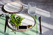 Dinner set with fresh pistachio tree branches as a festive decoration on concrete table background in sunny day