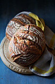 San-Francisco-Sourdough Bread