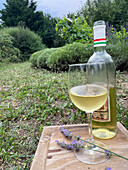 Herbal wine according to Hildegard of Bingen