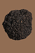 Close up detail of textured black truffle on brown background\n