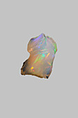 Nahaufnahme irisierender, mehrfarbiger Welo-Opal Stein auf grauem Hintergrund