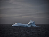 Eisbergformation auf der Meeresoberfläche vor der Antarktischen Halbinsel, Weddellmeer, Antarktis