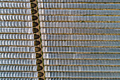 Luftaufnahme Reihen von Polyethylentunneln in einem sonnigen ländlichen Gebiet, Darmstadt, Deutschland