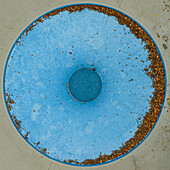 Aerial view autumn leaves in empty blue wading pool\n