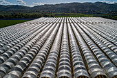 Rows of polyethylene tunnels in sunny rural field, Darmstadt, Germany\n