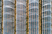 Aerial view polyethylene tunnels in rural field, Darmstadt, Germany\n