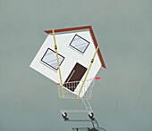 Strapped house in shopping cart\n
