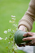 Close up of young woman's hands with flowerpot\n