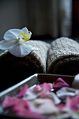 Pink floating petals in square bowl with brown towels\n