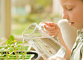 Girl watering seedlings with jug\n