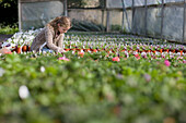 Young girl in a greenhouse kneeling and looking at plants\n