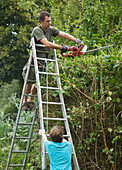 Man standing on a ladder using an electrical hedge trimmer\n