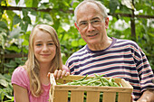 Young girl and mature man holding a crate of broad beans\n