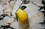 Still life vibrant yellow lemon on stem against granite countertop\n