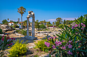 View of Ancient Agora, Kos Town, Kos, Dodecanese, Greek Islands, Greece, Europe\n