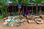 Traditional medicine market, Garoua, Northern Cameroon, Africa\n