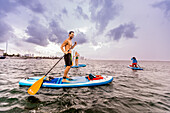 Paddleboarding off Miami Beach, Florida, United States of America, North America\n