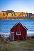 Red fisherman cabin on Ramberg beach with mountains in background at dawn, Flakstad, Lofoten Islands, Nordland, Norway, Scandinavia, Europe\n