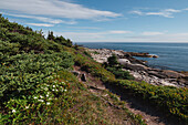 Zwerg-Hartriegel-Blüten und die felsige Küstenlinie am Atlantik, Dr. Bill Freedman Nature Preserve, Nature Conservancy of Canada, Nova Scotia, Kanada, Nordamerika