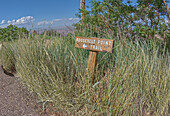 Wooden sign marking the way to Roosevelt Point on the North Rim of Grand Canyon, Arizona, United States of America, North America\n
