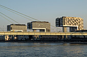 Kranhäuser am Rheinauhafen,Köln,Nordrhein-Westfalen,Deutschland,Europa