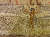 Relief eines Grabes in Saqqara, Teil der memphitischen Nekropole, UNESCO-Weltkulturerbe, Ägypten, Nordafrika Afrika