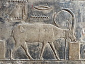 Relief from a tomb in Saqqara, part of the Memphite Necropolis, UNESCO World Heritage Site, Egypt, North Africa Africa\n