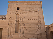 Hieroglyphs at the Philae Temple complex, The Temple of Isis, currently on the island of Agilkia, UNESCO World Heritage Site, Egypt, North Africa, Africa\n