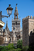 Kathedrale, UNESCO-Weltkulturerbe, Sevilla, Andalusien, Spanien, Europa