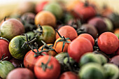 Hochformatige Ansicht von verschiedenen bunten Tomaten
