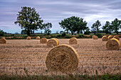 Bales of straw on field stubble at summer\n