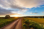 View of rural landscape with dirt track at sunset\n