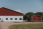 View of wooden stable buildings at summer day\n