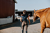 Rear view of woman leading horse on paddock\n