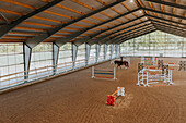 View of horse rider using indoor riding paddock\n