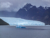 Eisberge in der Lagune am Ende des San Rafael Gletschers im Laguna San Rafael National Park, Chile.