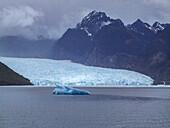 Icebergs in the lagoon at the terminus of the San Rafael Glacier in Laguna San Rafael National Park, Chile.\n