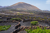 La Geria, Lanzarotes Hauptweinregion, Kanarische Inseln, Spanien