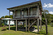 A weathered Clapboard house in classic Creole Colonial style architecture typical of the British colonial period in Belize. These houses are typically raised off the ground for better cooling.\n