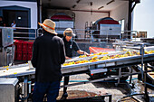 Arbeiter in der Weinkellerei La Geria. La Geria, Lanzarotes wichtigste Weinregion, Kanarische Inseln, Spanien