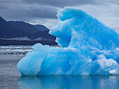 Eisberge vom San Rafael Gletscher in der San Rafael Lagune im Laguna San Rafael National Park, Chile.